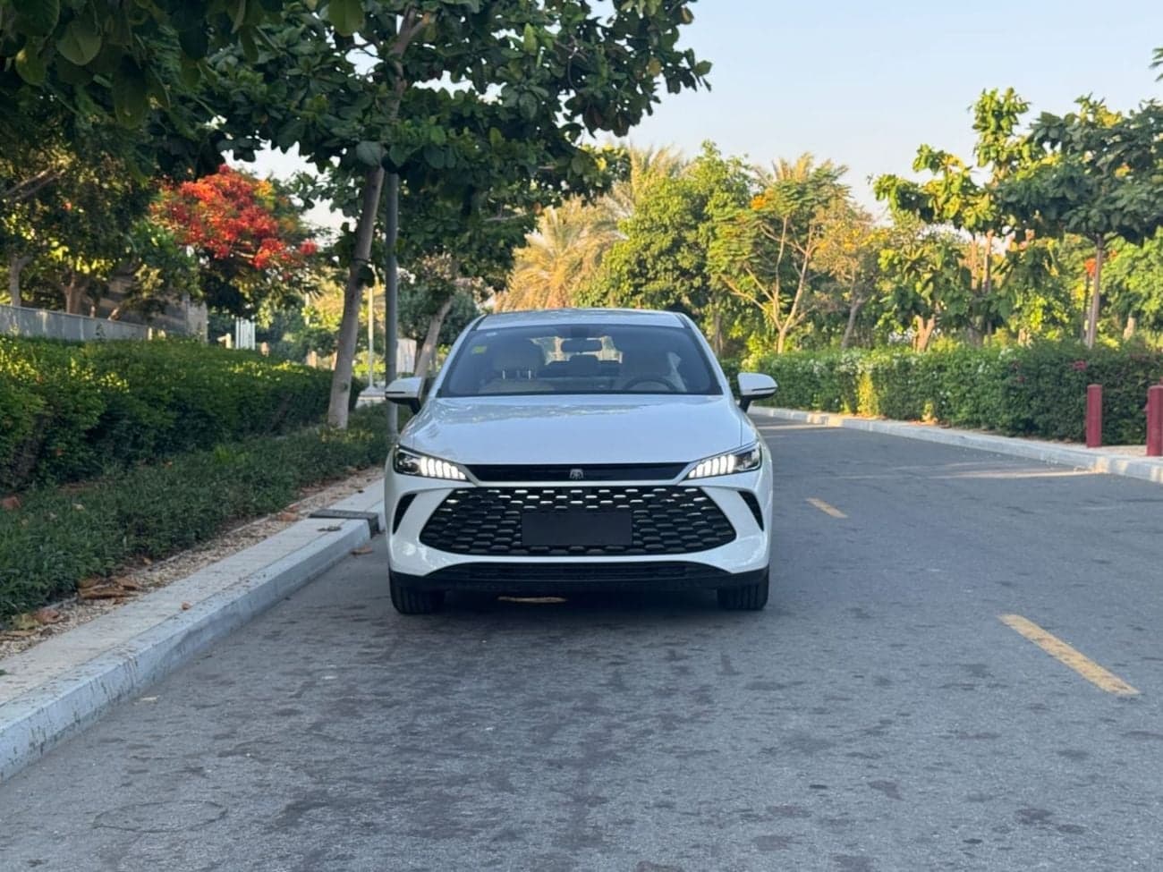 2025 BYD QIN PLUS